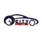Σετ συμπλέκτη SACHS 3000951019